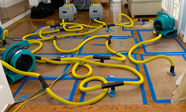 Professional Structural Drying And Dehumidification technician working in Henderson, LA